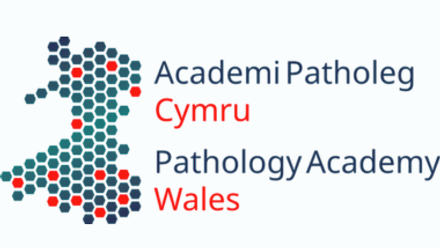Wales Pathalogy Academy Website Featutred Image.png