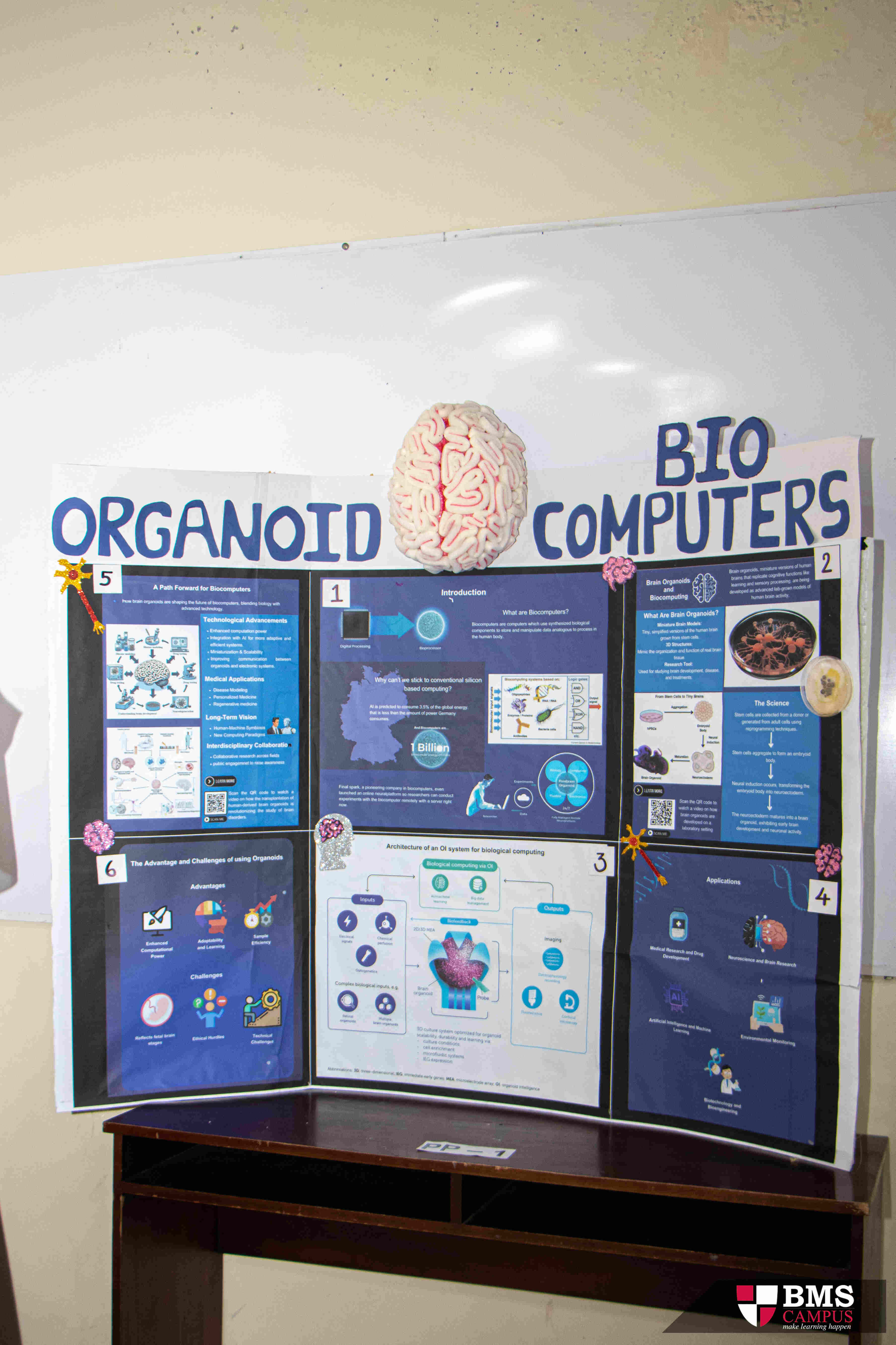 BMS Sri Lanka