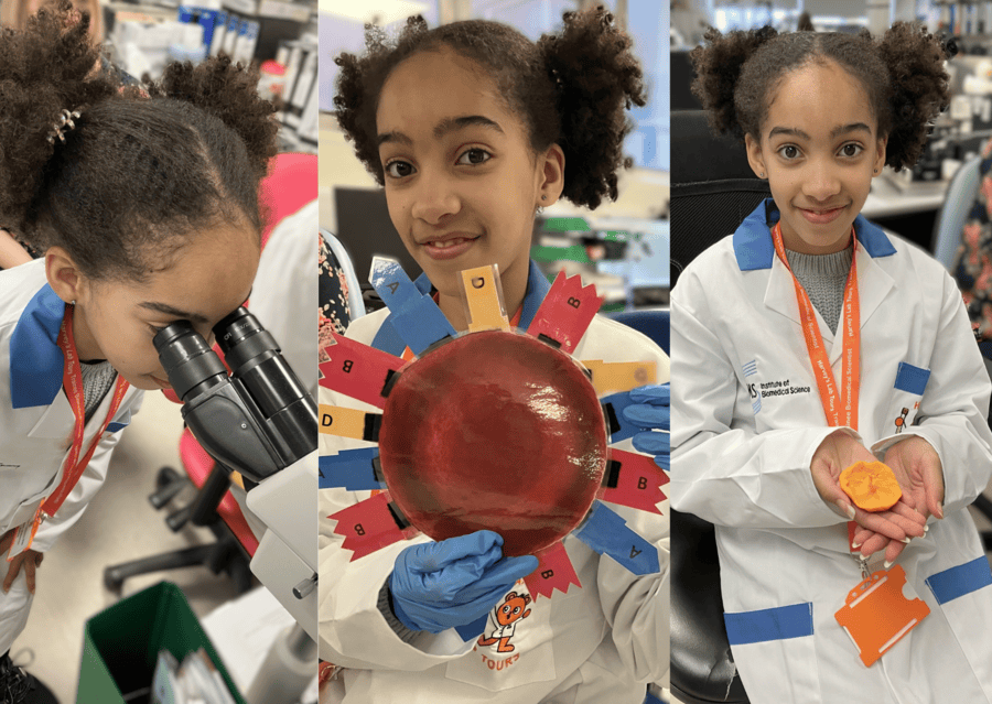 Harvey's Lab Tours