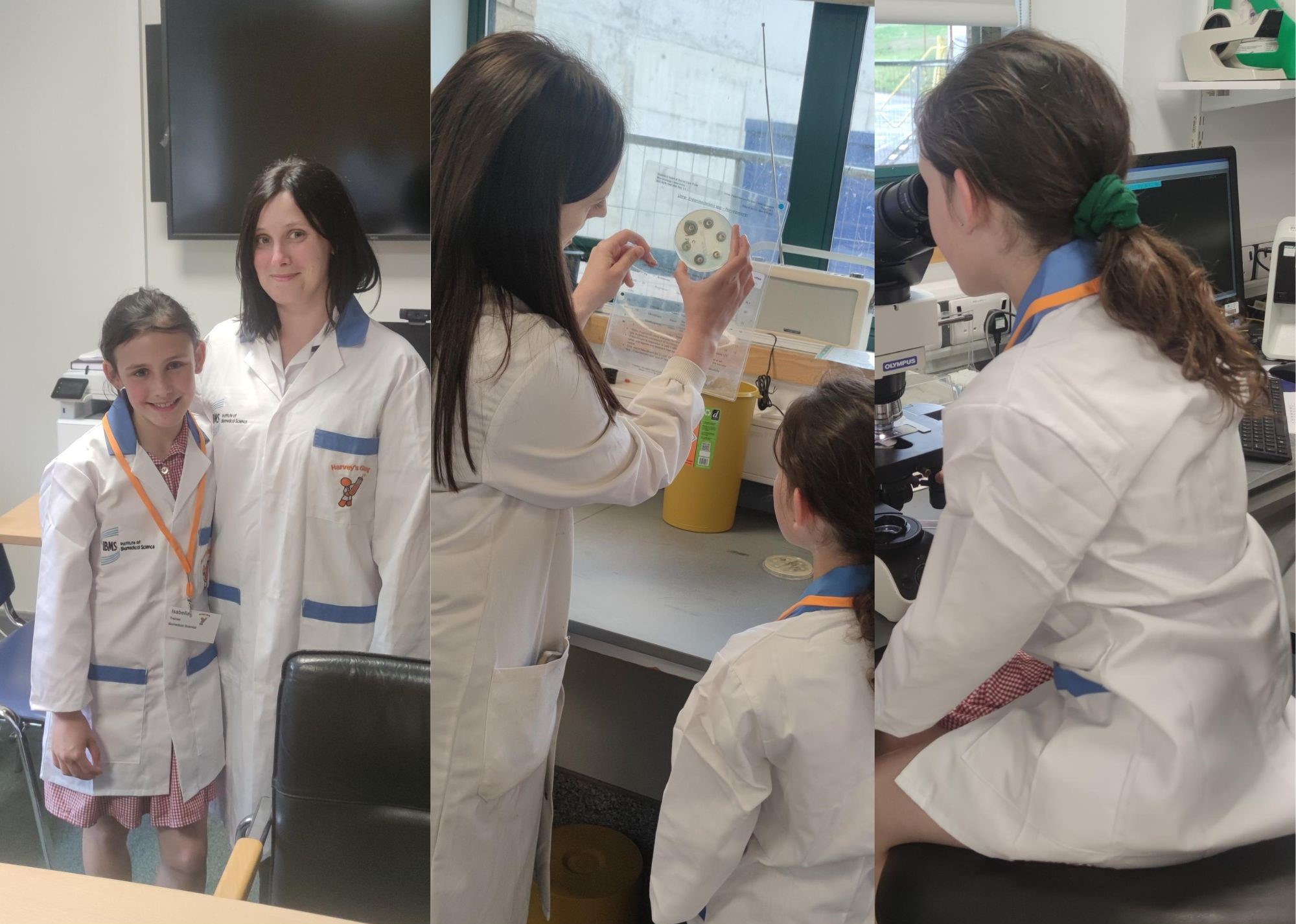 Harvey's Lab Tour