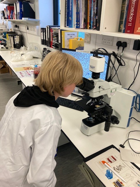 Harvey's Lab Tours