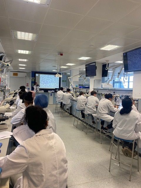 8 mmu bms day 2