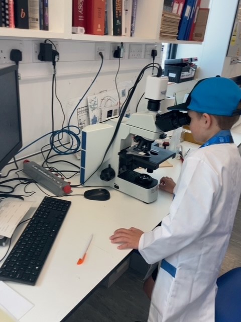 Harvey's Lab Tour