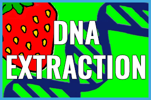 dnagr