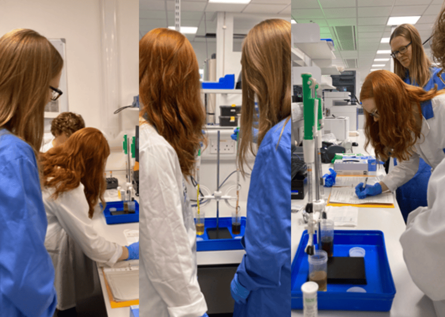 Harvey's Lab Tour