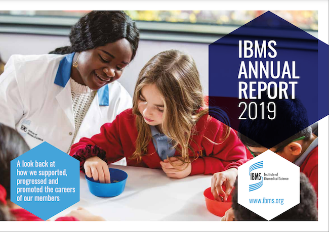 bami - annual report 19