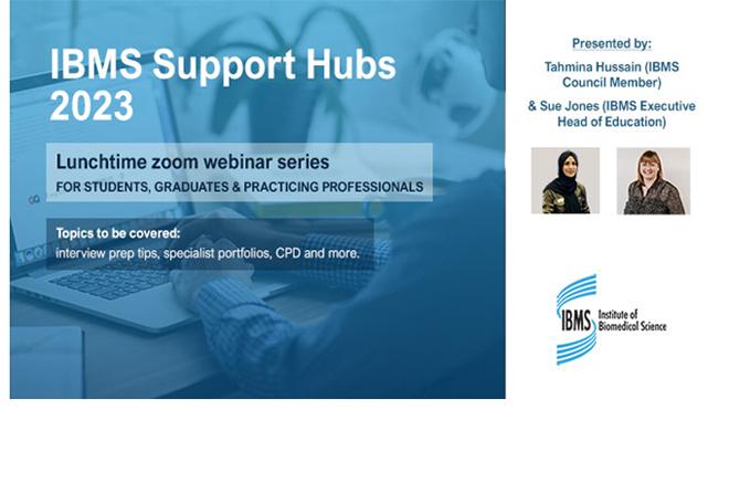 Introducing: IBMS Support Hubs for 2023