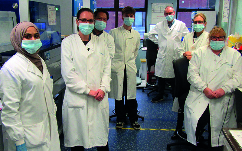 web_p50_hires-cmyk-my_lab-sthk-john_mcnulty.jpg