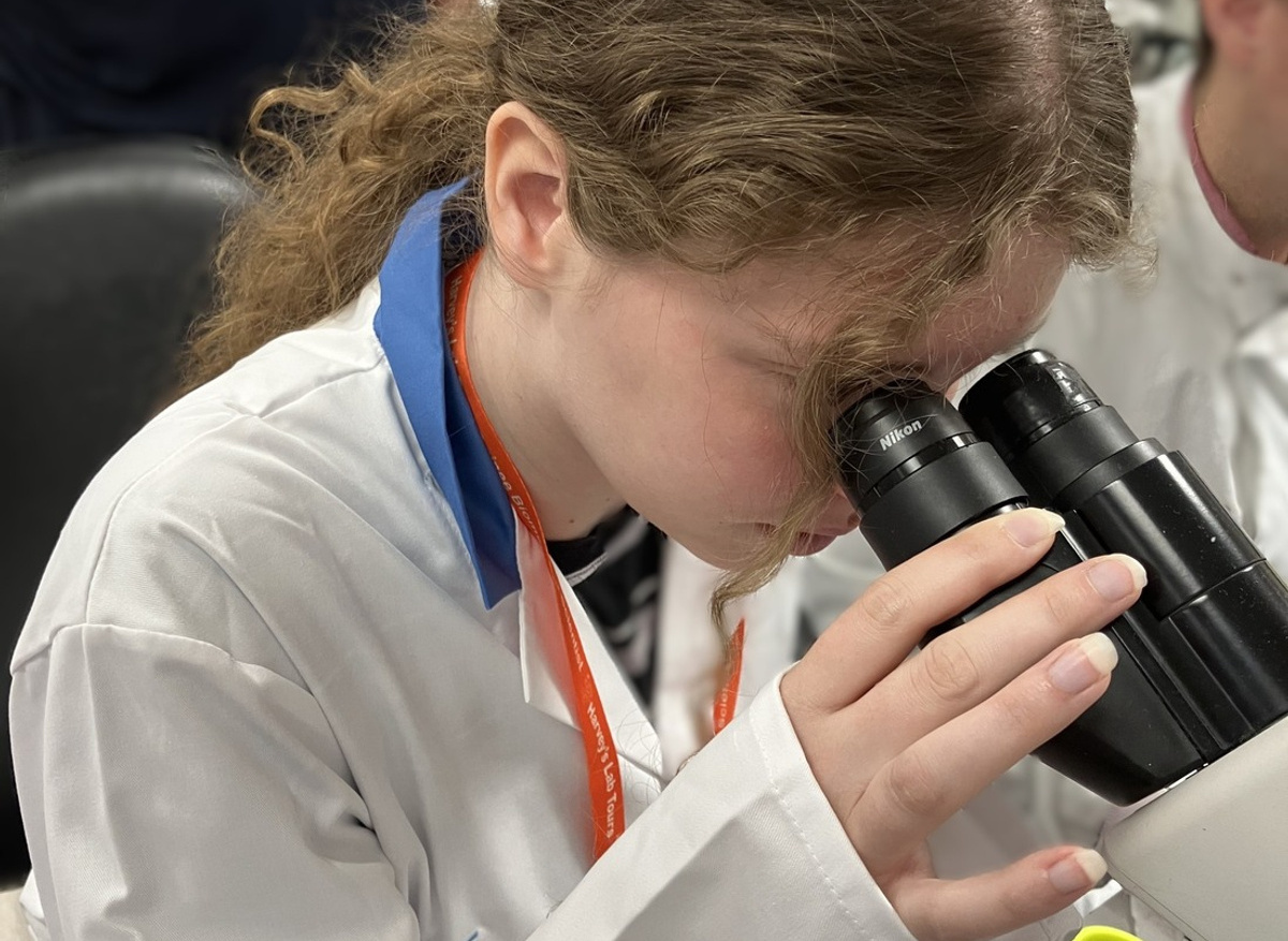 Emma takes a closer look at blood cells under the microscope