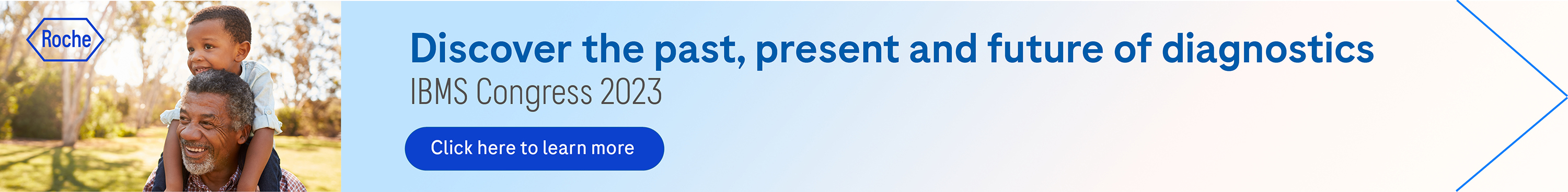 WebadvertIBMS7.jpg