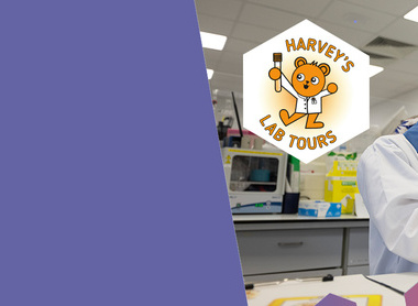 Harvey's Banner 2 jpg.jpg