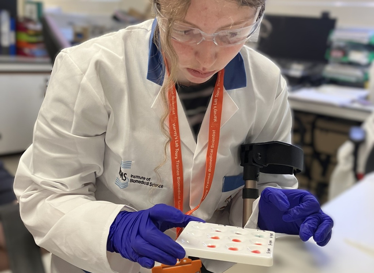 Emma looks at the results of a blood grouping activity in the transfusion laboratory