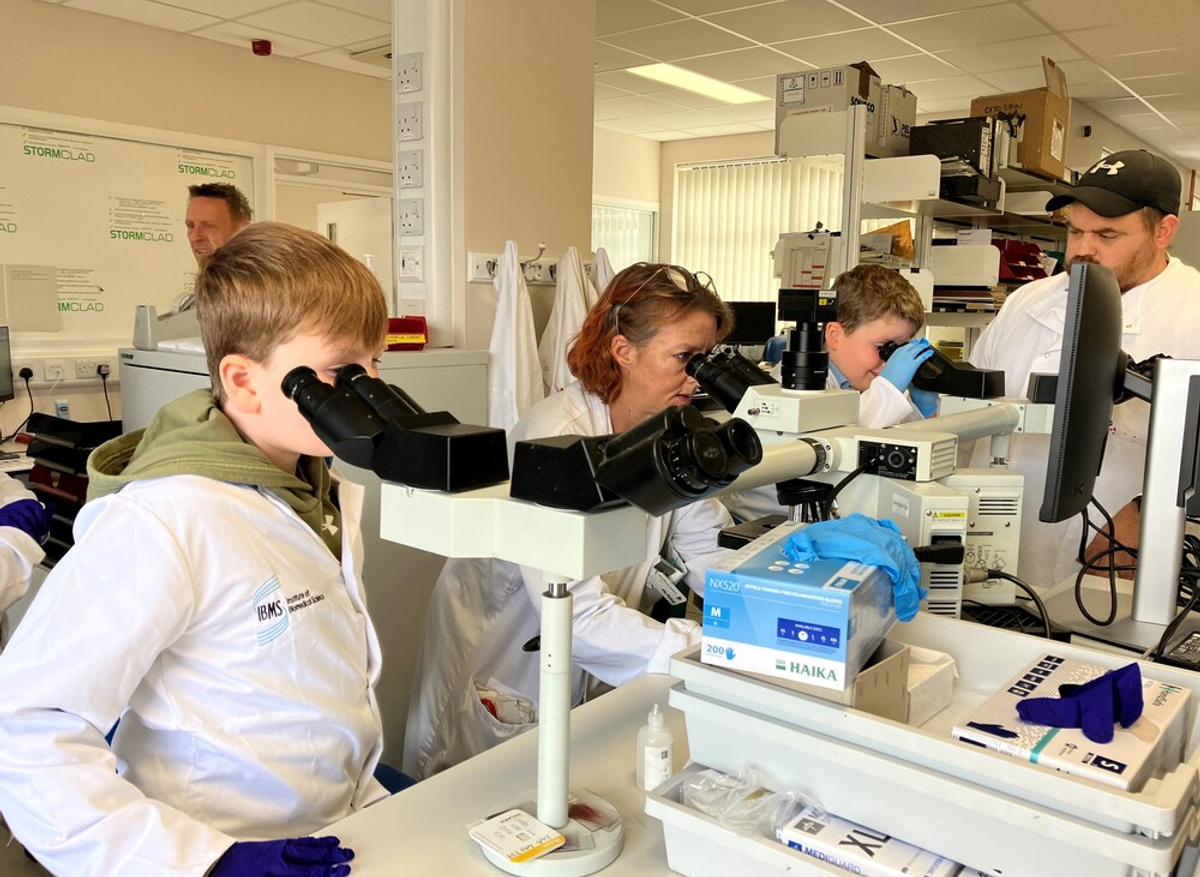Looking closer through the microscope