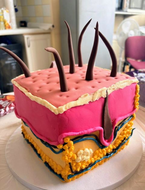cake.jpg