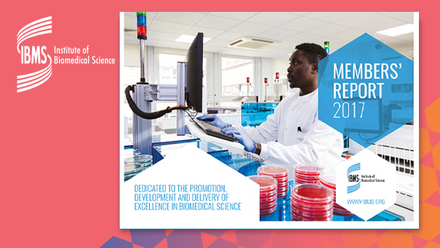 IBMS-Annual-Report-2017-1.jpg