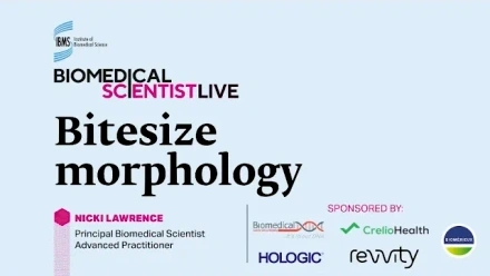 Bitesize Morphology with Nicki Lawrence