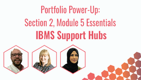 IBMS Support Hubs