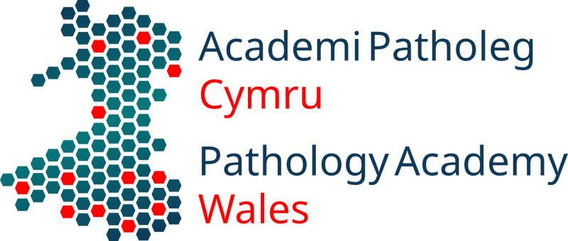 PAW Logo Dark (1).png