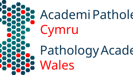 PAW Logo Dark (1).png