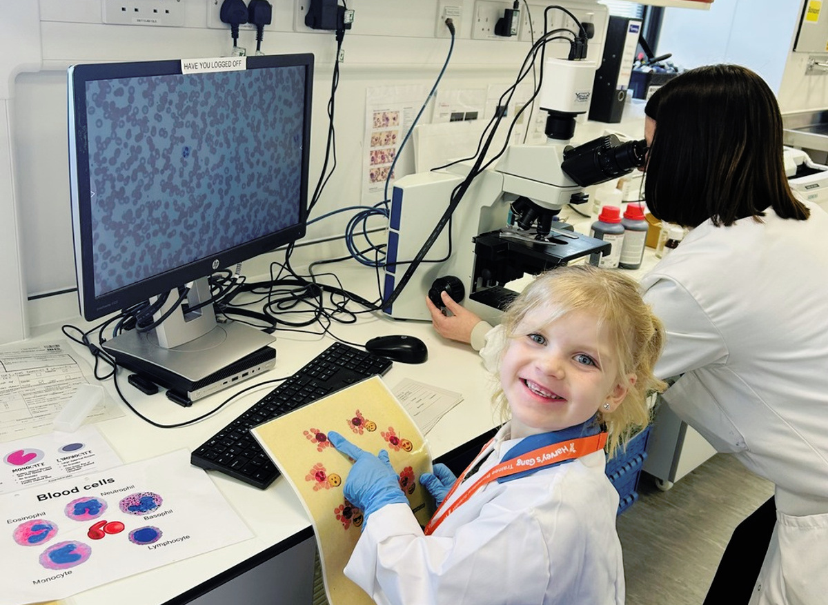 Learning about blood cells