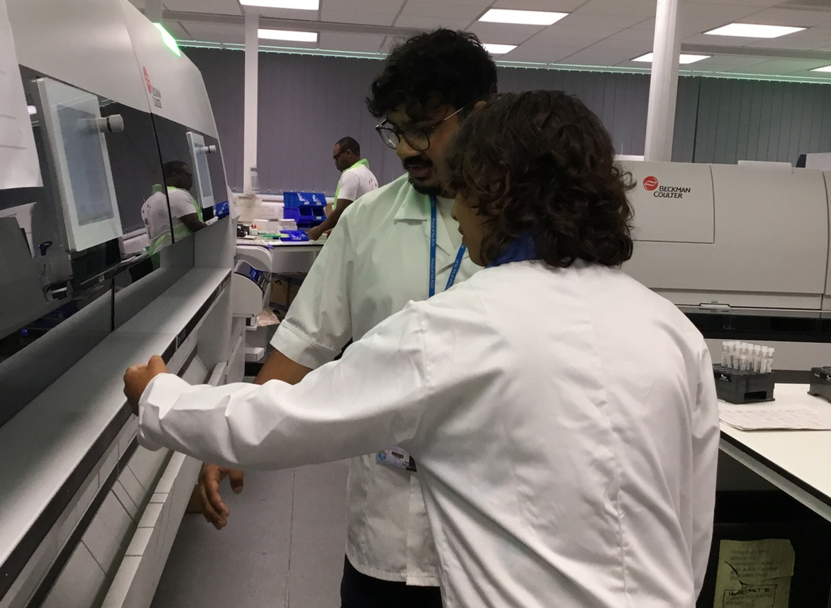 Learning how the haematology analyser processes blood samples