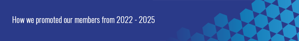 Strategy promote.png