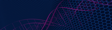IBMS Live 24 - assets-backing -for website.png