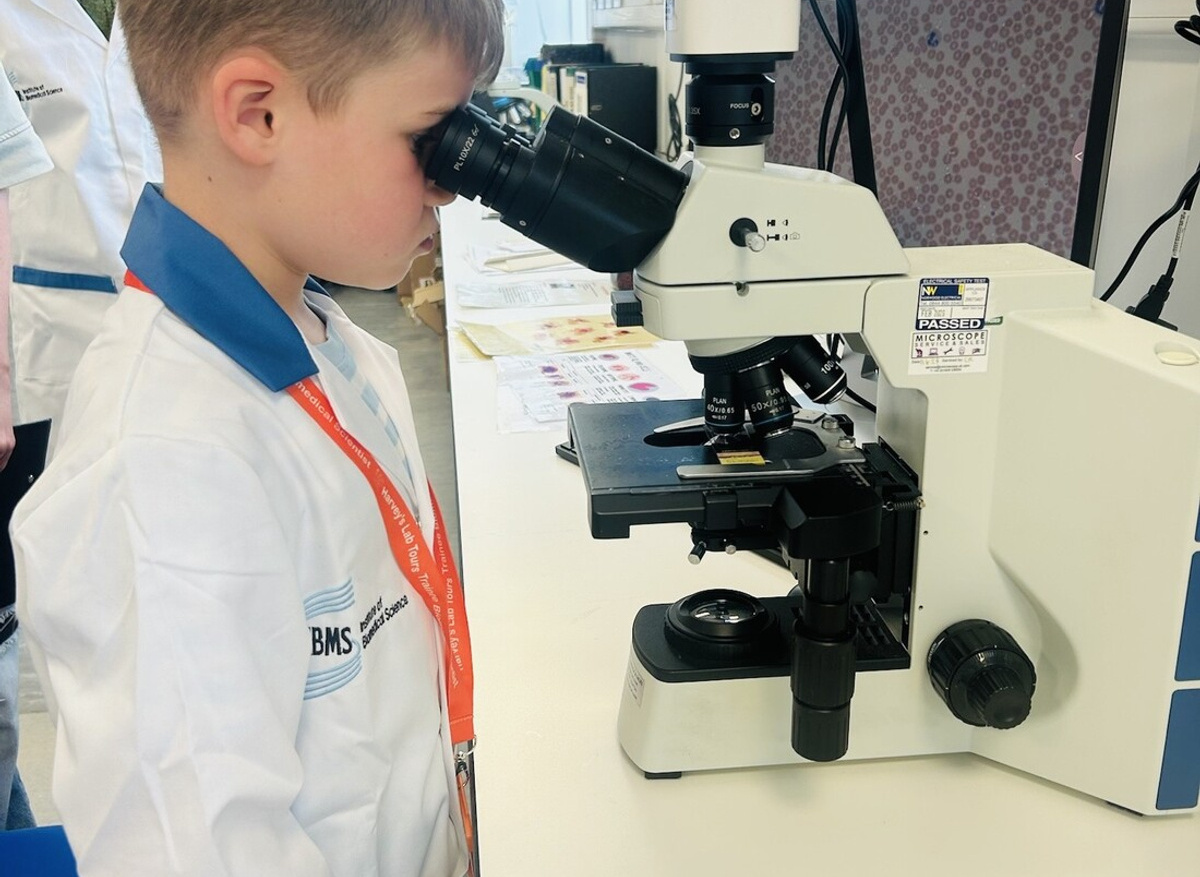 Theo looks at a blood film
