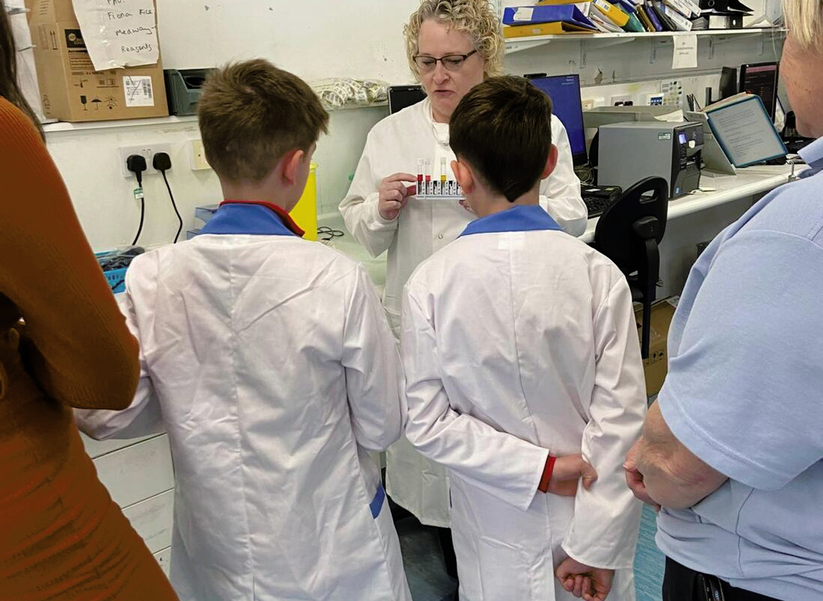 Learning about blood samples