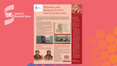 Anatomy and Autopsy