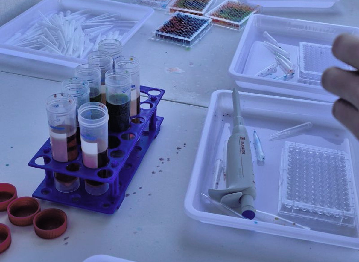 Micropipetting demonstration activity