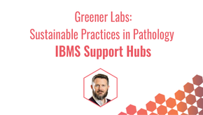 IBMS Support Hubs