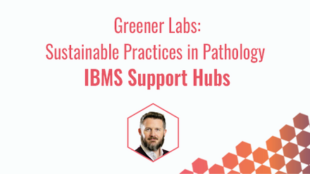 IBMS Support Hubs 2026 10.png