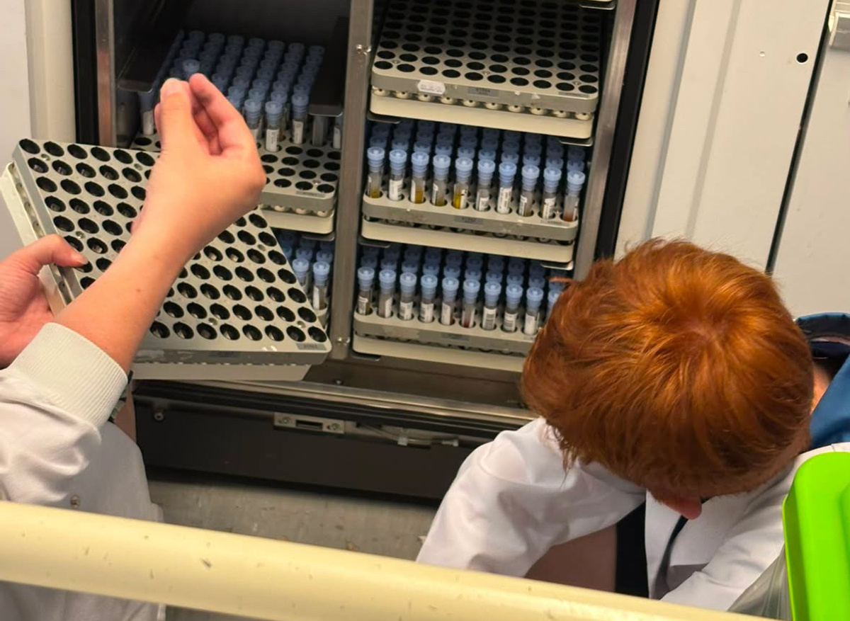 Seeing how samples are stored in the laboratory