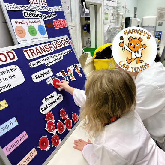 Untitled design (20).png