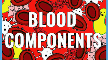 blood-comp-web-image.jpg