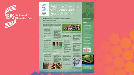 ibms1926-poster05-sport-leisure-for-web.jpg