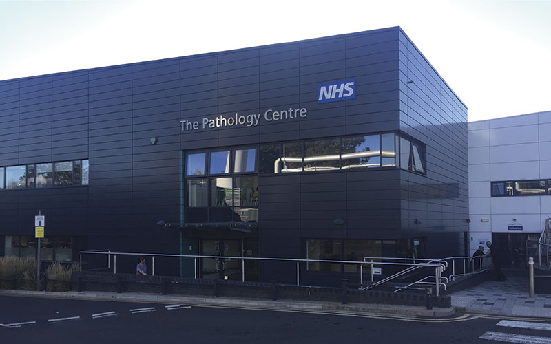 cross-pathology-sot.jpg