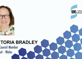 council campaign vb copy 380.jpg