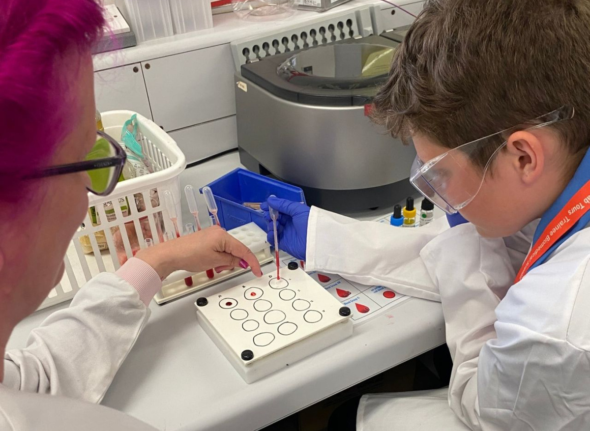 Using a pipette