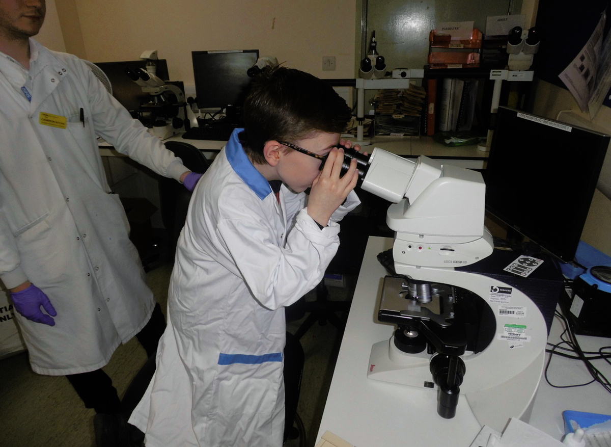 Looking through microscope at samples