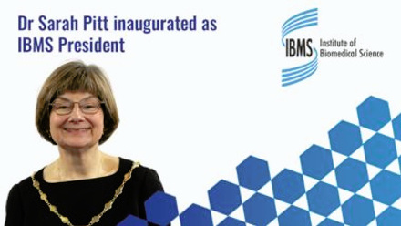 Website Featutred Image.jpg