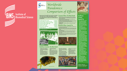 51400-ibms22-history-poster-03.jpg