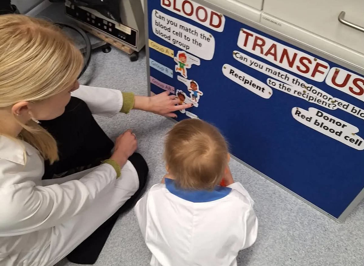 Freya learns about blood groups and transfusions