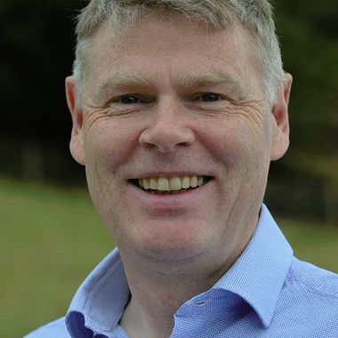 Professor David Brettle