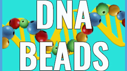 dna-beads-web-image.jpg