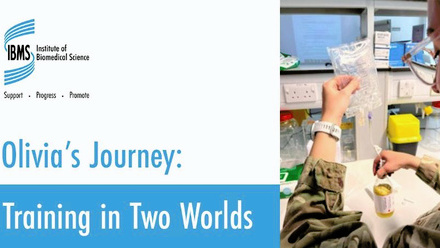 large_training-in-two-worlds.jpeg