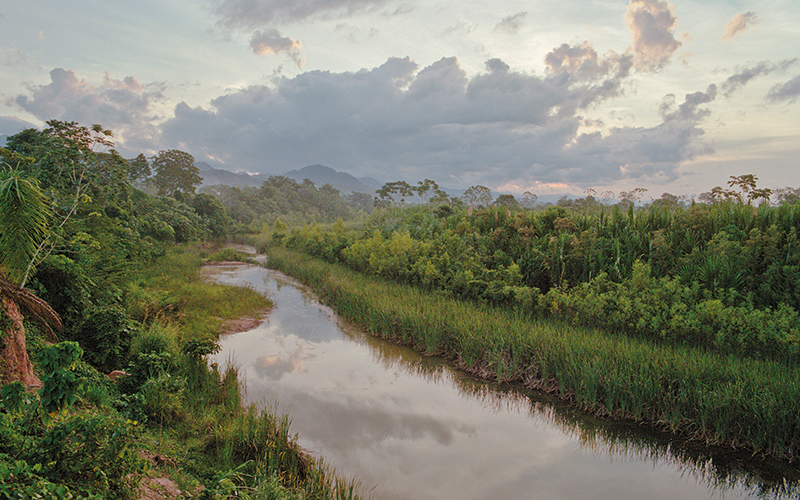 web-p50-my-lab-my-ibms-amazon-river-getty184073841-editv2.jpg
