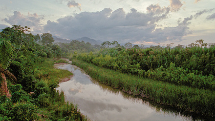 web-p50-my-lab-my-ibms-amazon-river-getty184073841-editv2.jpg