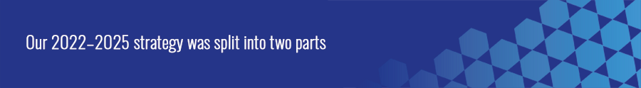 Strategy aims.png